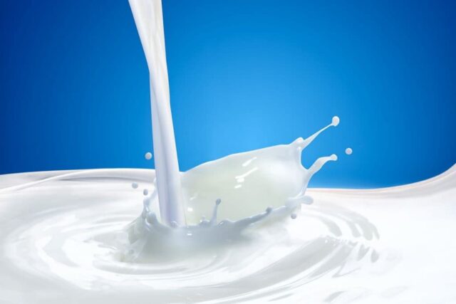 What is homogenized milk and yoghurt?